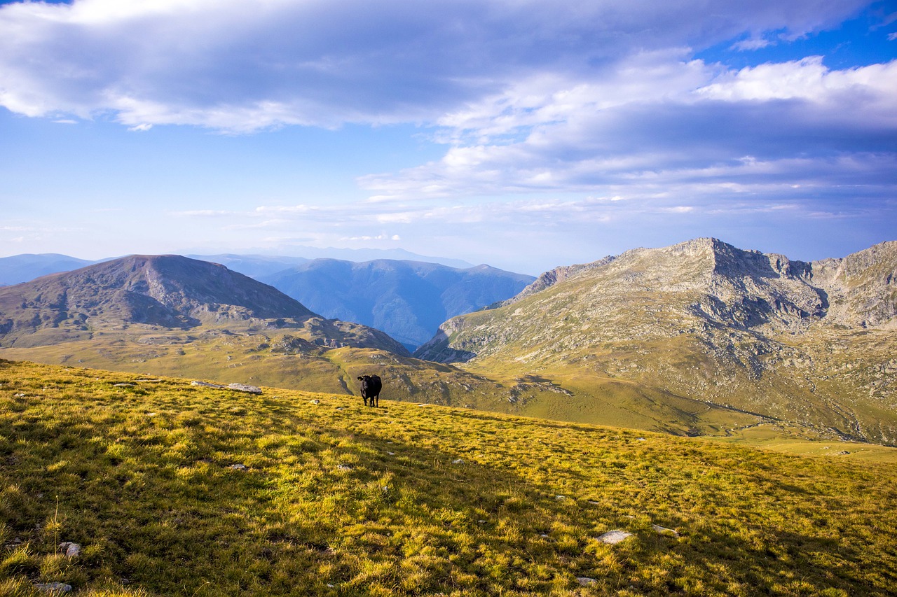 Handling Stress with Resilience - Techniques You Need to Know